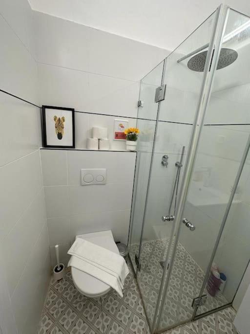 Apartmán Hamadregot 1 Jeruzalém Exteriér fotografie